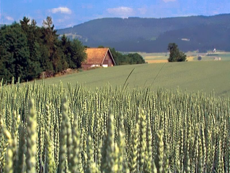 Saveurs de la Suisse Gourmande